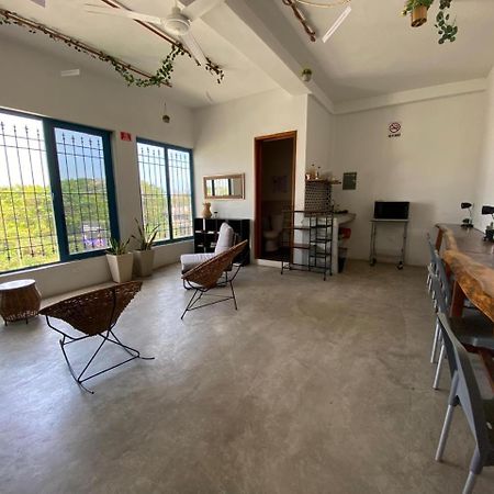 Hostal Del Jaguar 툴룸 외부 사진
