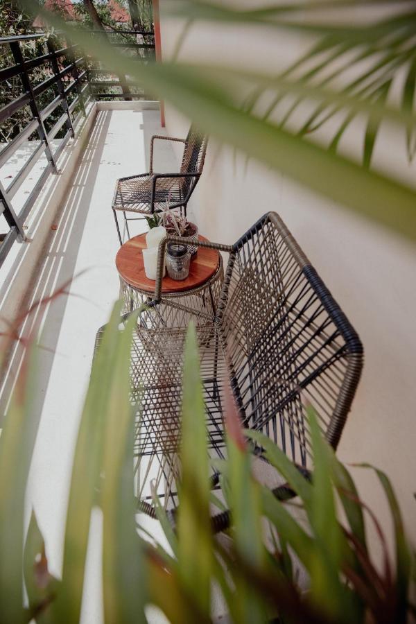 Hostal Del Jaguar 툴룸 외부 사진